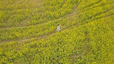 Young woman walking in a flower field. Summer yellow flowers in a field