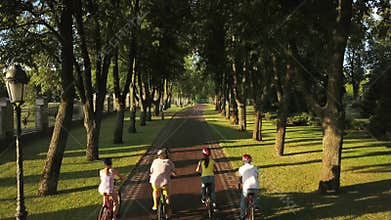 Four friends cycling outdoors, top view.