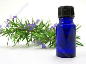 Rosemary herb & Oil bottle