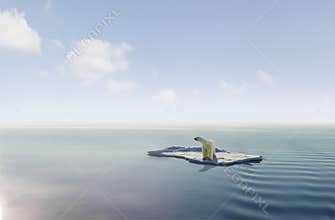 Polar Bear on ice floe