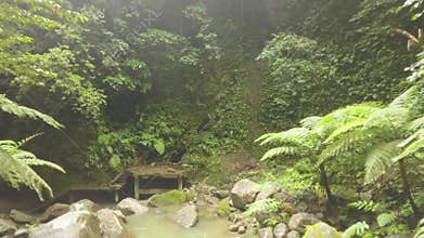 Green tropical forest and rocky river flowing on rocks drone view. River stream in rainforest and old stairs. Wild