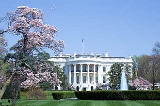 The White House