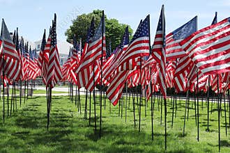 Memorial Day in USA - American flags arranged in rows on Fort Square