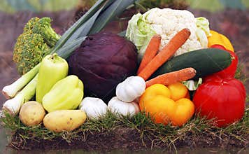 Organic vegetables