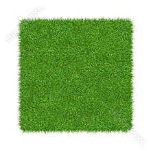 3D render of green grass. Natural texture background. Fresh spring green grass. Isolated on white background