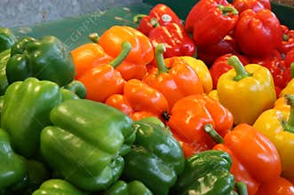 Peppers of all colors at a farmers food market