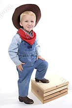Cutest little cowboy