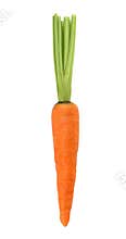 Carrot