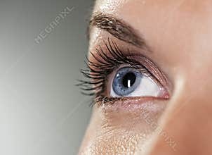 Blue eye