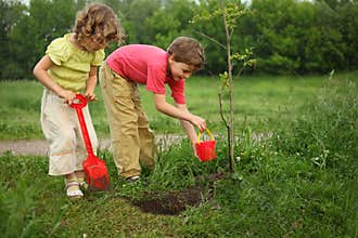 Boy and girl plant tree