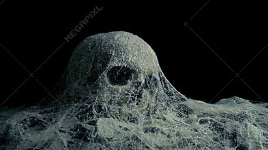 Passing Old Skull Under Cobwebs In Tomb Or Cave