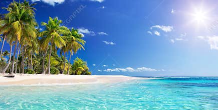 Palm Beach In Tropical Paradise