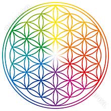 Flower of Life in rainbow colors