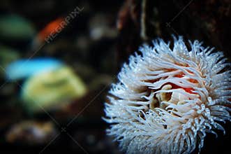 Ocean detail