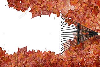 Raking leaves