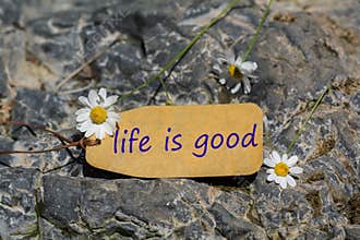 Life is good label