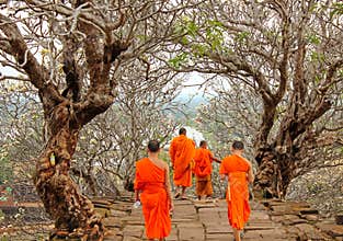 Monks at Wat Phu, Laos