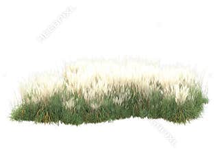 Green surface covered with wild grass and meadow