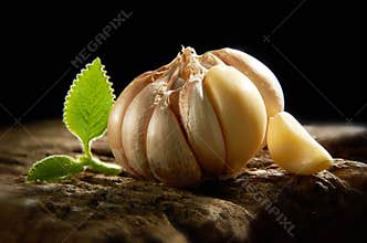 Garlic