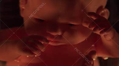 Human baby in a female womb. Embryo development during pregnancy. Imitation with a doll.