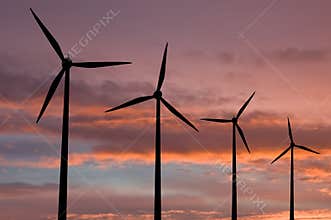 Ecology energy farm with wind turbine