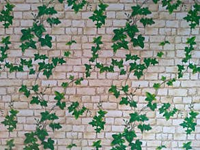 Abstrack background leaf in the wall