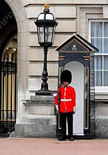 Queen's Guard, Buckingham Palace, London