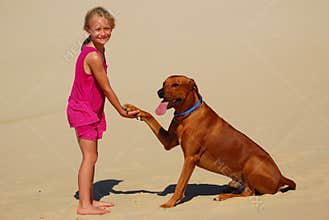 Little girl shaking dog paw
