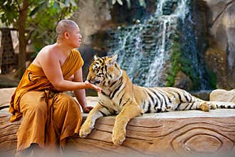 Tiger Tample