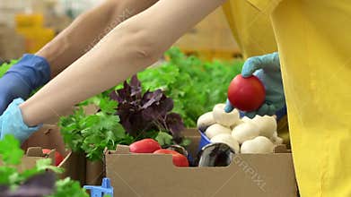 Man and woman working with organic food and packaging in agro company indoors spbd.