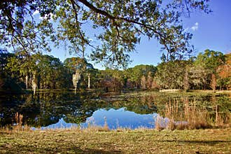 Lake with Florida fall colors