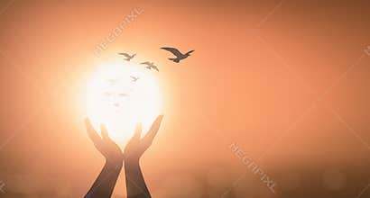 Silhouette Hands Raised Toward Bright Sun With Flying Birds Symbol Of Hope And Spiritual Freedom