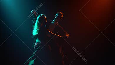 Elegant movements, classical waltz choreography performed by professional ballroom dancers. A silhouetted couple whirl
