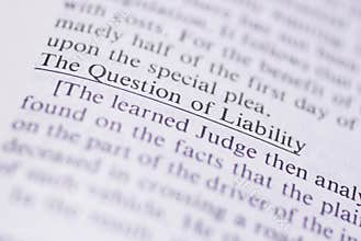 Legal Terms #1