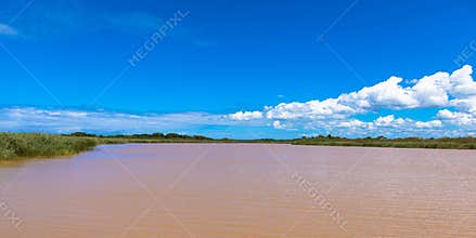 ISimangaliso Wetland Park near St. Lucia,  KwaZulu-Natal, South Africa. Place for text.