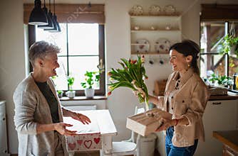 Adult daughter visiting happy senior mother indoors at home, mothers day or birthday celebration.