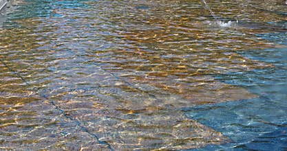 This unique water surface features vibrant colors that beautifully stand out in nature