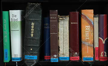 Bibles in many languages
