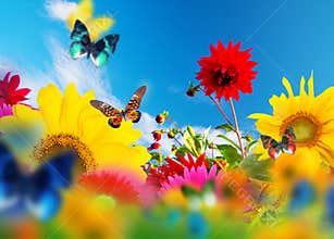 Sunny garden of flowers and butterflies