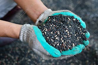 The mixed of plant chemical fertilizer and manure on farmer hand