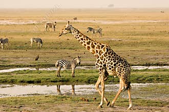 Chobe Riverfront