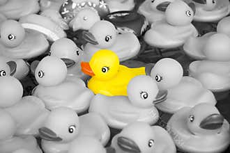 Rubber ducks