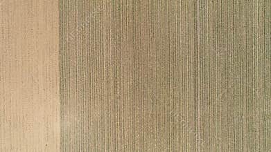 Aerial View Two Adjacent Farmland Fields, One Freshly Plowed Brown, Other With Neatly Planted Rows