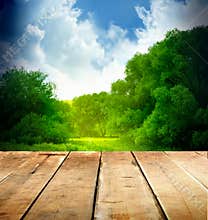 Summer background