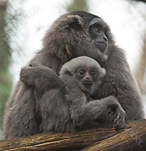 Mother and baby