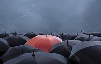 The red umbrella