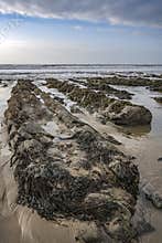 The beauty of rocks and seaweed at low tide