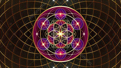 Video animation kaleidoscope Metatron\'s Cube, Flower of Life. Golden Sacred geometry, geometric torus, black background