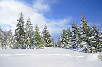 Beautiful winter mountainside landscape