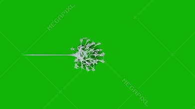Web top quality animated green screen video 4k